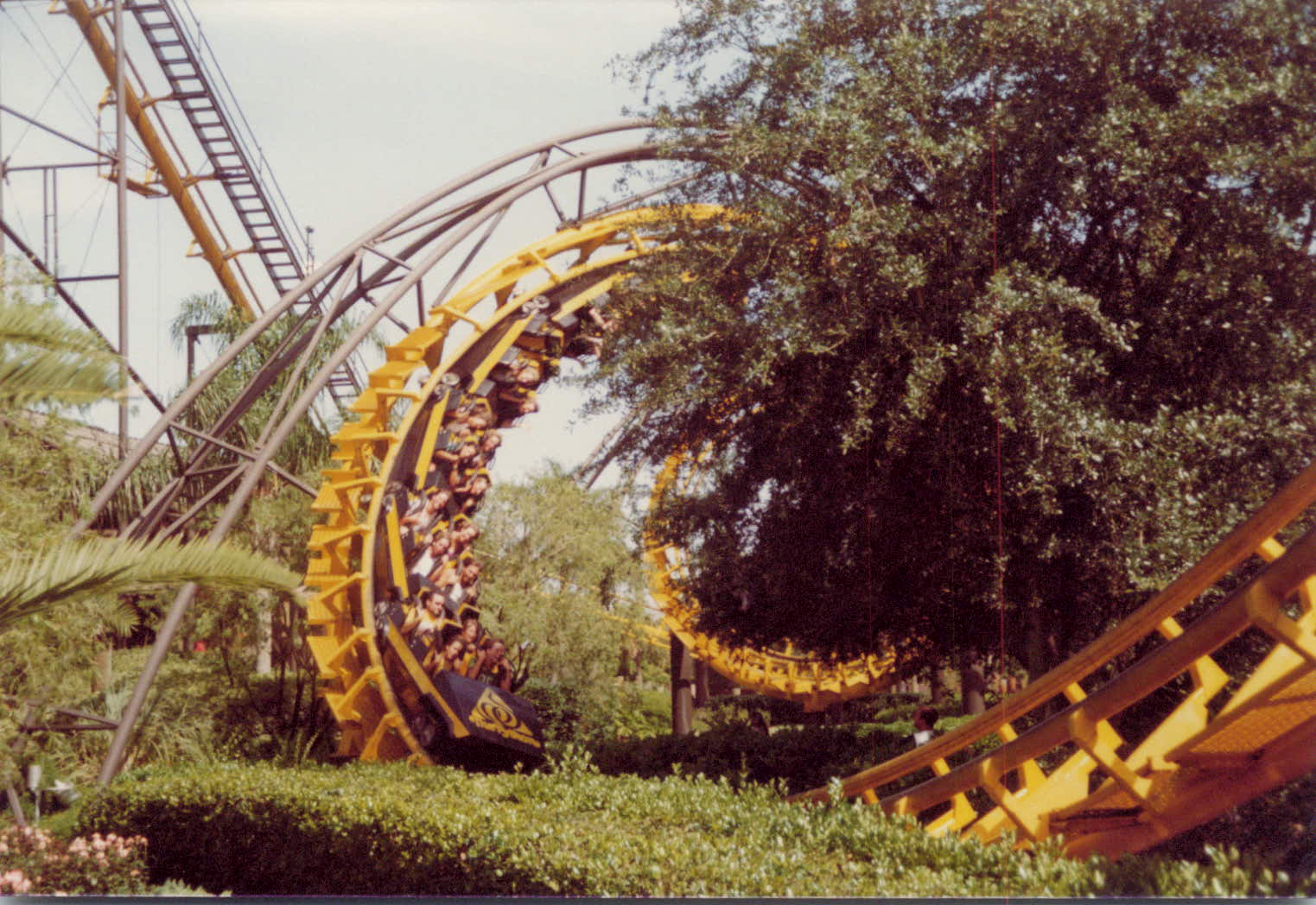 Florida 1982